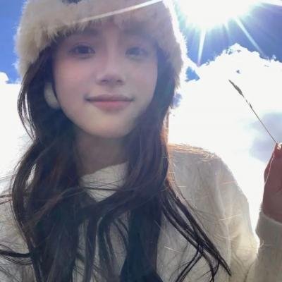 狐及其友
